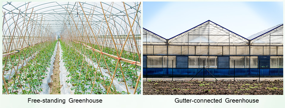 greenhouse type