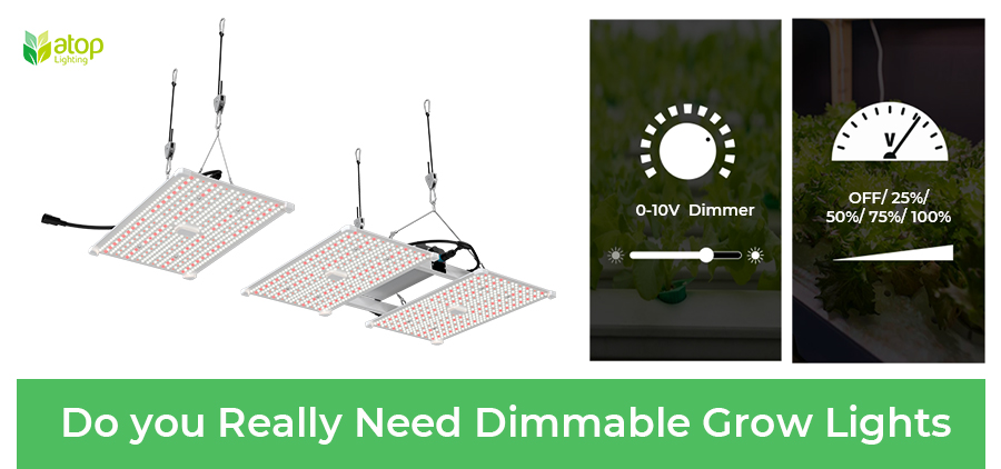 Do you Really Need Dimmable Grow Lights