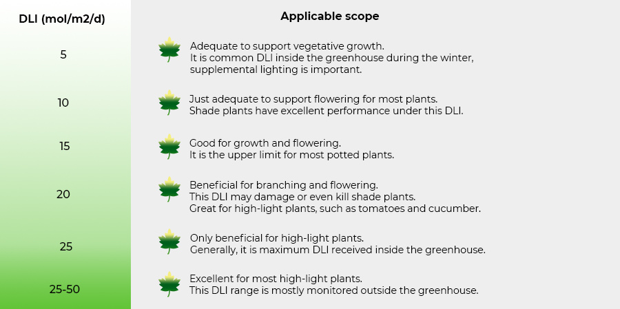 How much DLI do your plants need