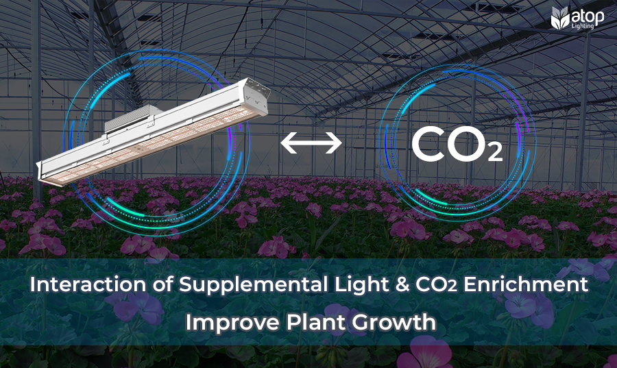Interaction of Supplemental Light and CO2 Enrichment Improve Plant Growth 1