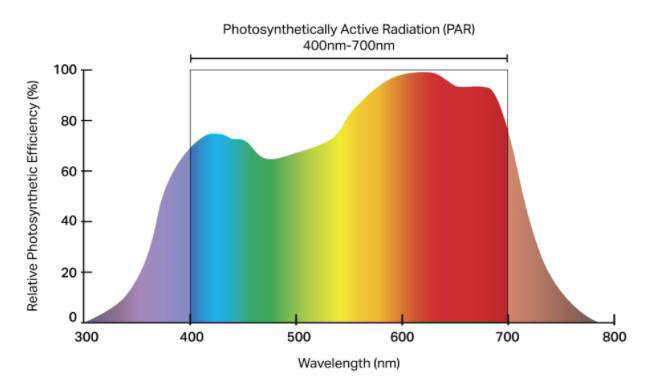 led grow light relative photosynthetic efficiency