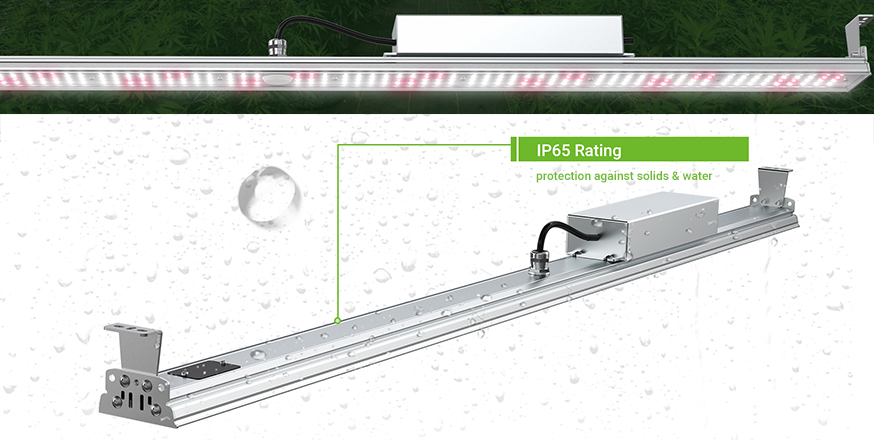 HL09 LED grow light with IP65 rating waterproof dust proof