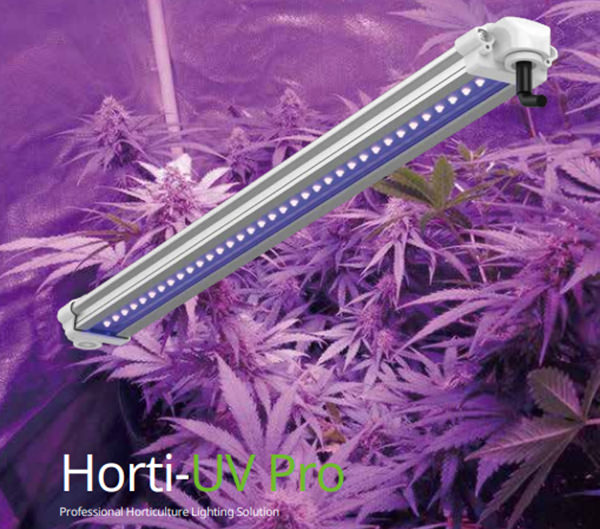 HL17 LED grow light UV light for cannabis 
