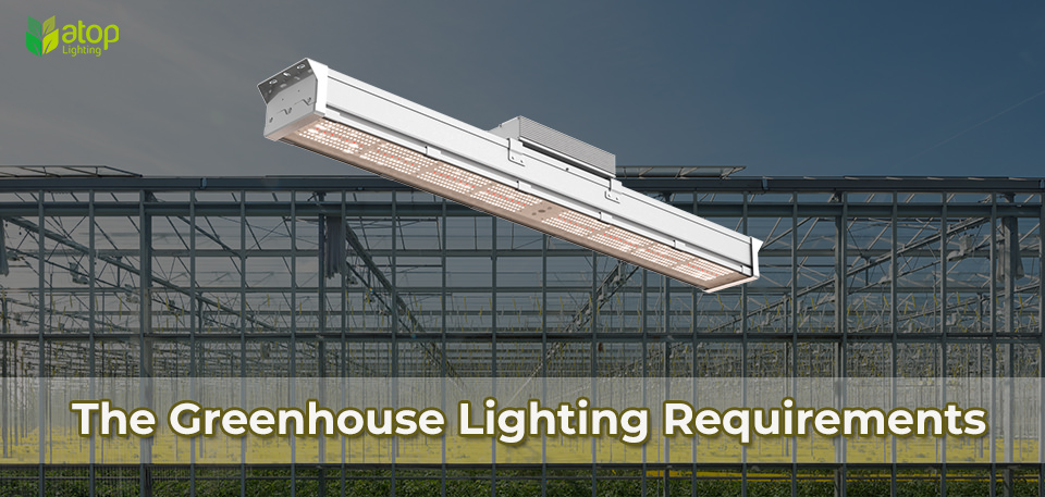 greenhouse lighting requirements LED grow light