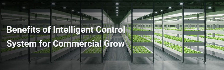 Benefits of Intelligent Control System for Commercial Grow