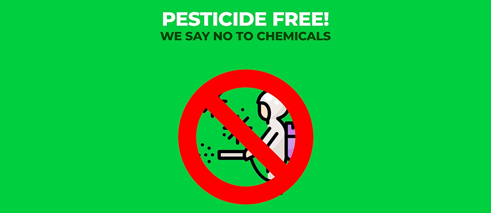 pesticide free say no to chemical