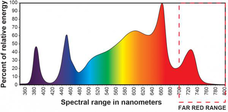 wavelength far red light spectrum