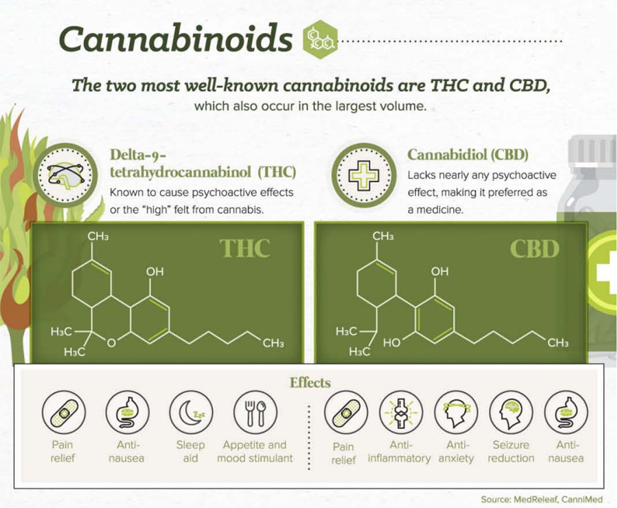 cannabinoids expalin THC CBD