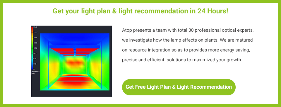 get free lighting plan design simulation in 24 hours
