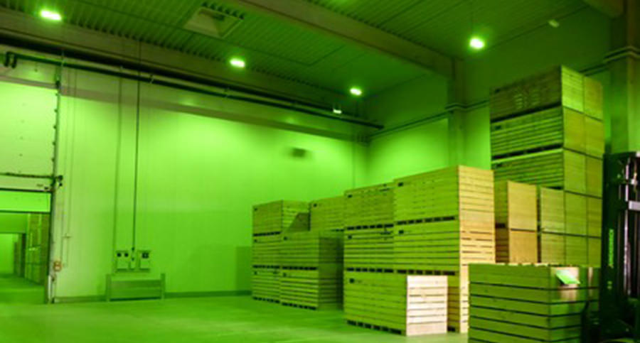 greenlight potatoes warehouse storage