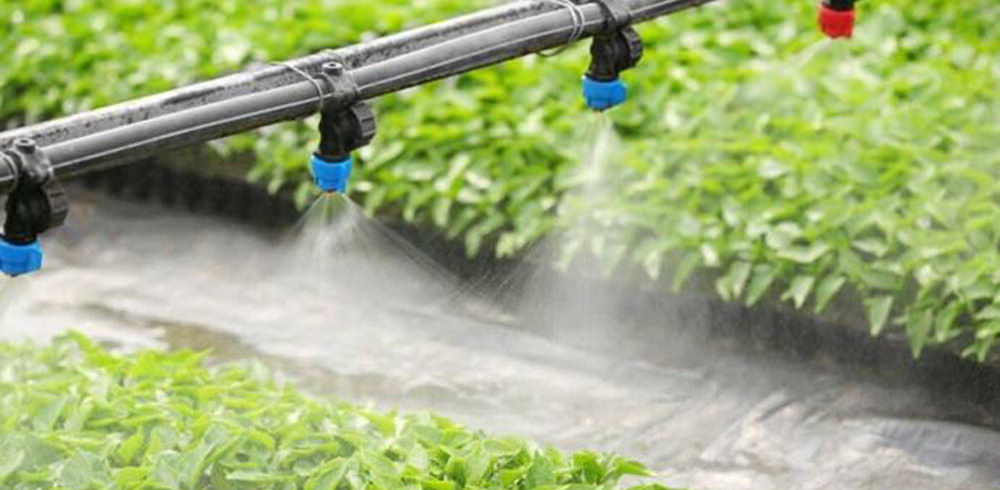 irrigation system greenhouse cultivation