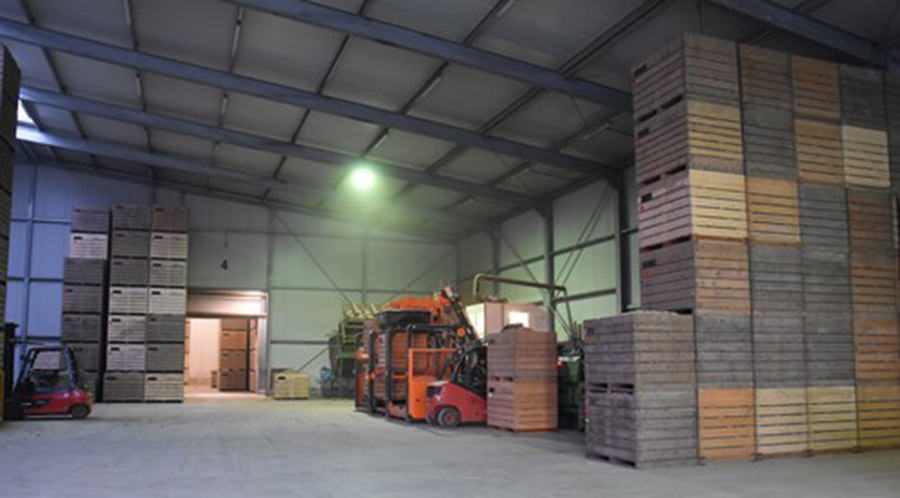 potato storage warehouse