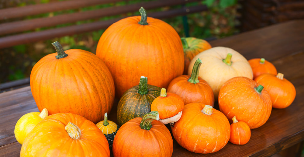 various pumpkins