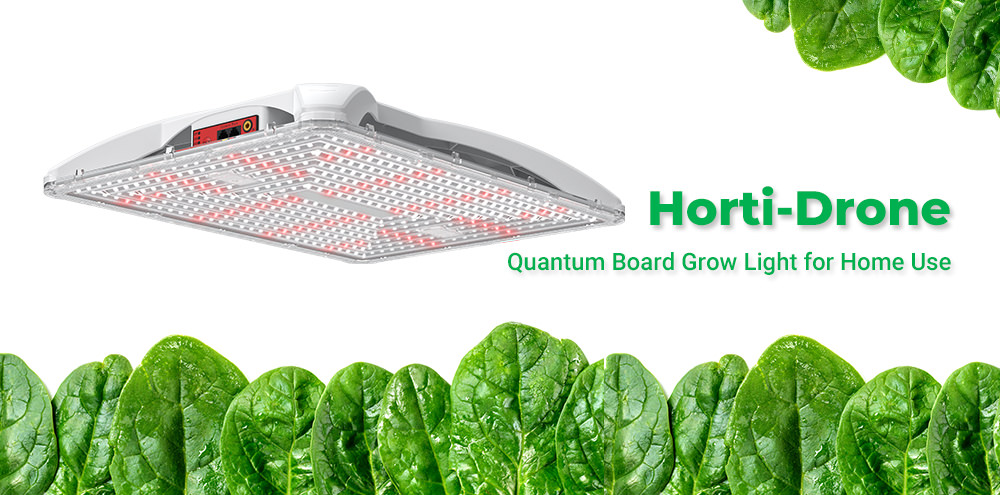 Horti Drone is a new generation of quantum board grow light for home use