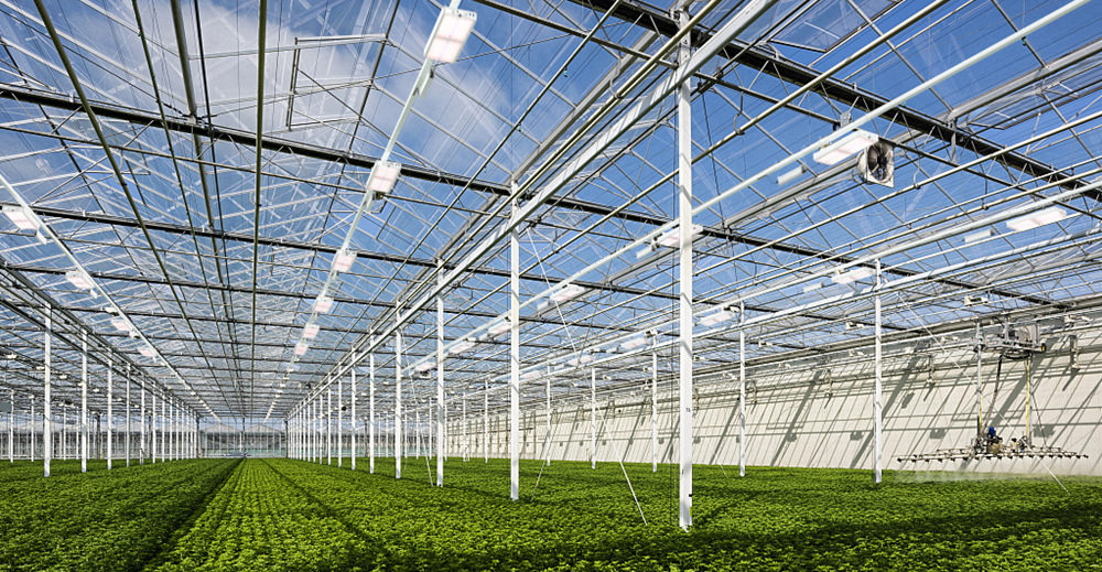 greenhouse LED grow light toplighting