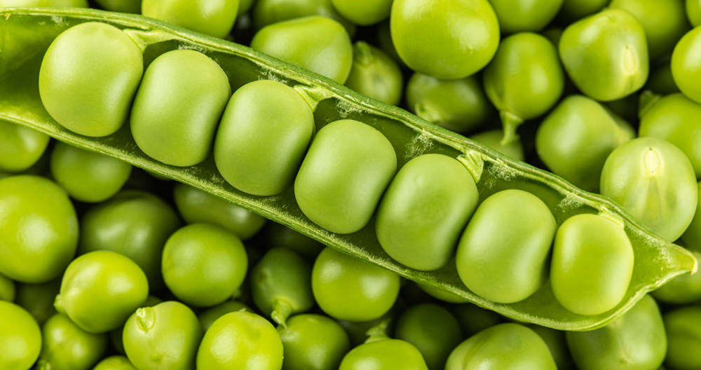peas green and round seedings