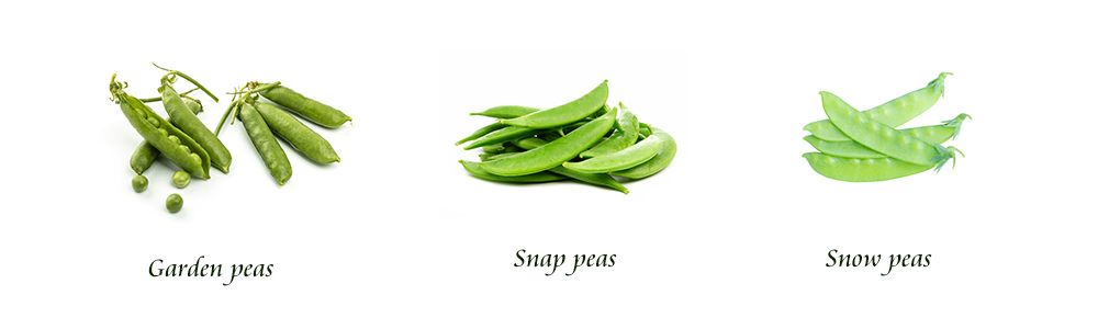 three peas garden peas snap peas snow peas