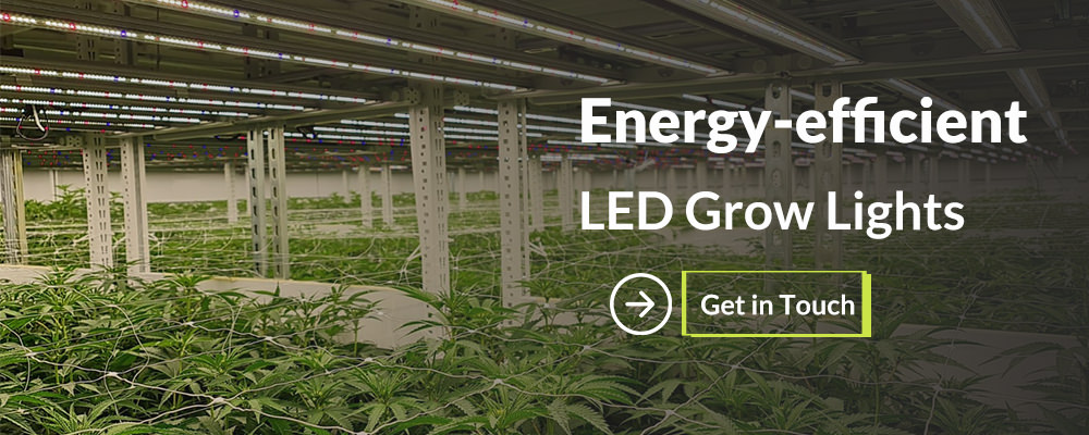 energy efficient LED grow light