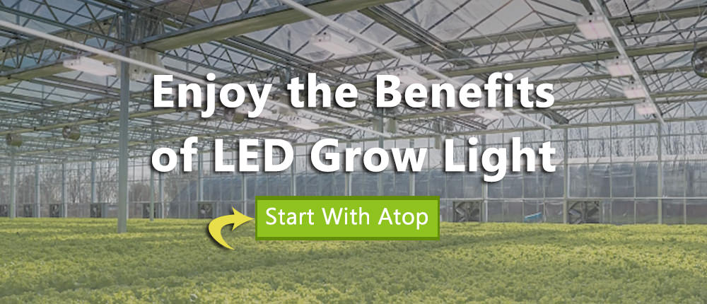 enjoy benefits of LED grow light with atop lighting