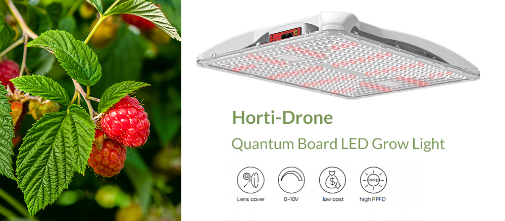 horti drone LED grow light quantum board for red raspberry