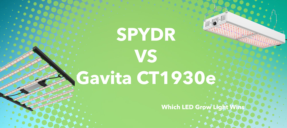 SPYDR VS Gavita CT1930e Which LED Grow Light Wins