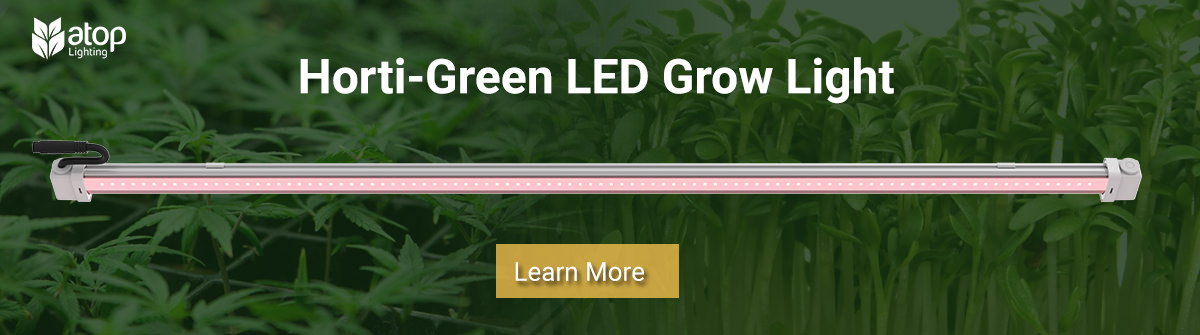 horti green LED grow light for microgreens