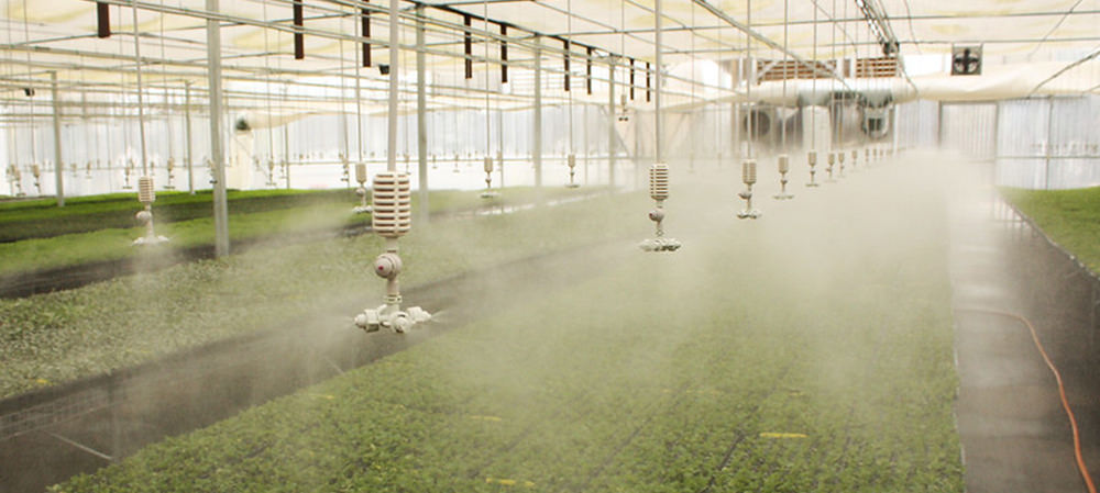 irrigation spray water medical PGRs