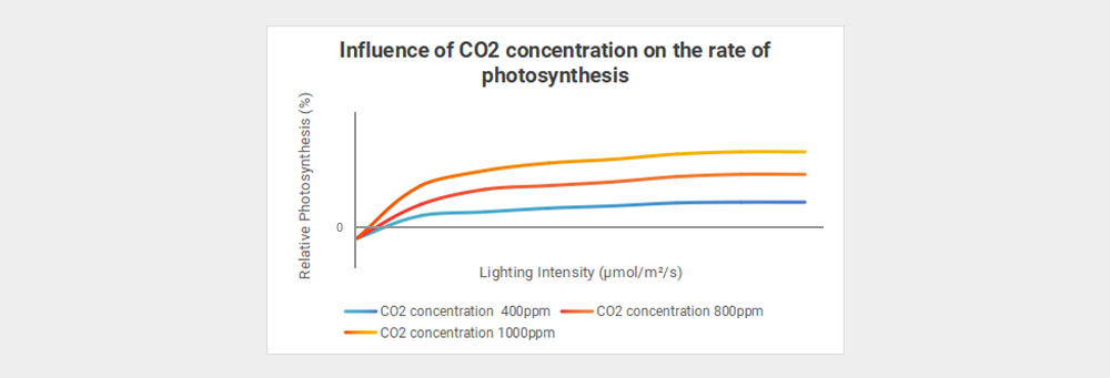 chart of Influence of CO2 concentration on the rate of photosynthesis