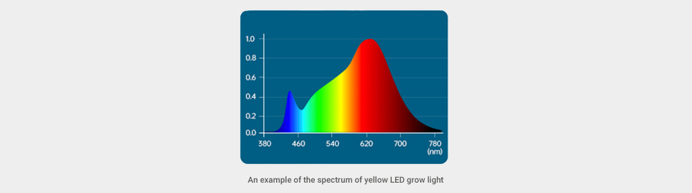 An example of the spectrum of yellow LED grow light