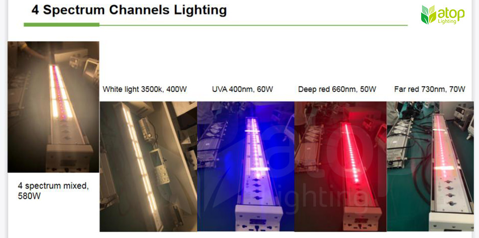 four spectrum channels lighting grow light