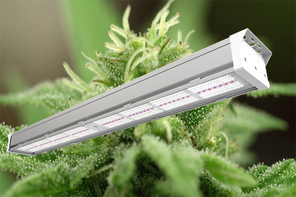 Atop Lighting cannabis led grow light