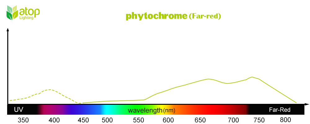 Phytochrome Far Red light absorption curve