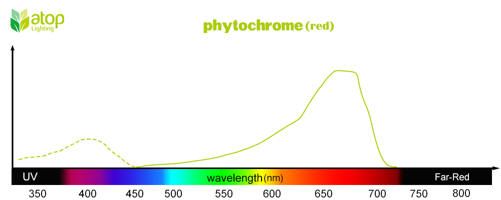 Phytochrome Red light absorption curve02