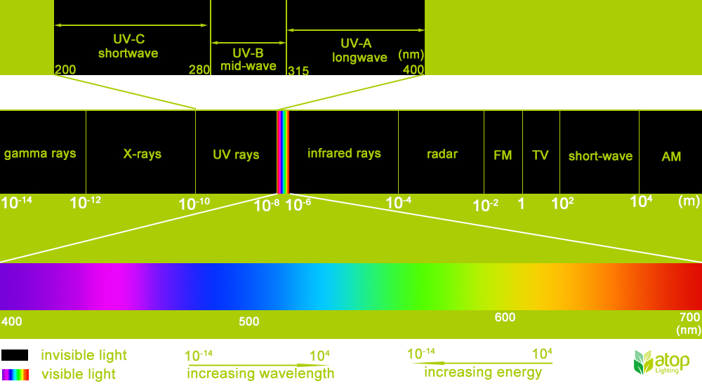 UV light of spectrum