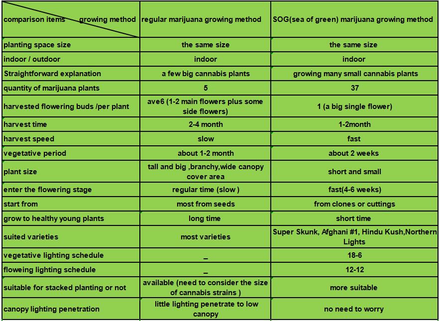 cannabis SOG method and regular method 01
