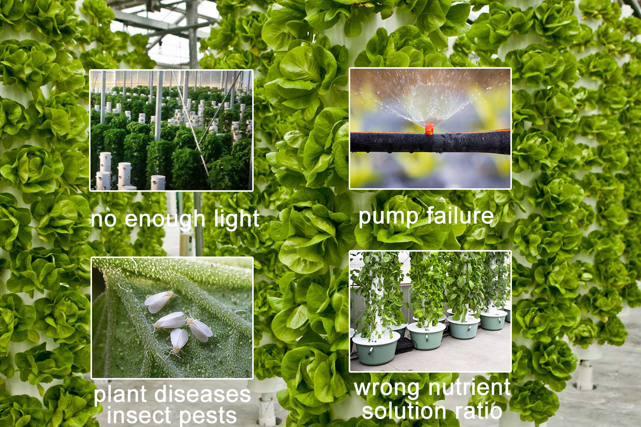 common problems in indoor vertical hydroponic tower