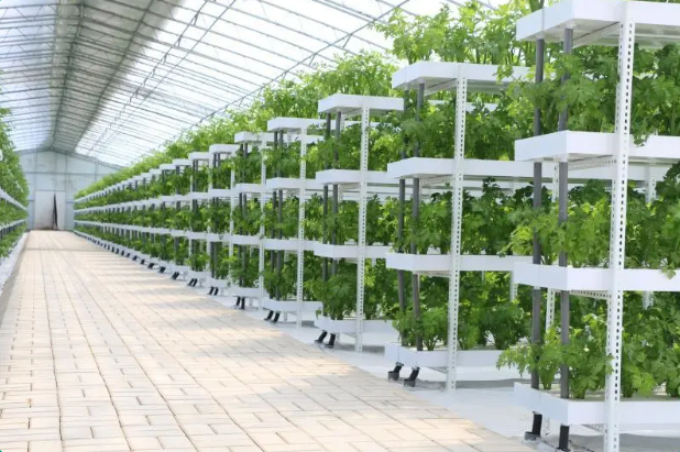 led grow light for racking system of vertical farming
