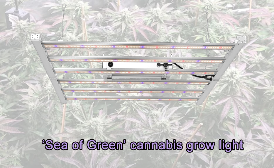 led grow light for sea of green marijuana growing method