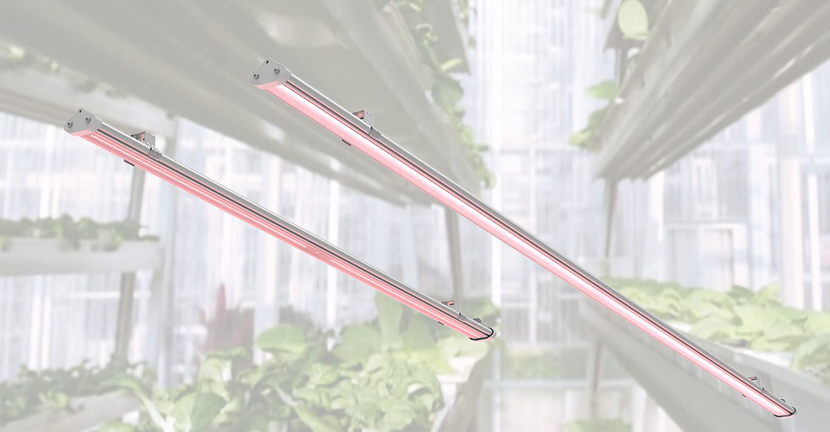 led grow light suitable both for vegetable growth and vertical farming
