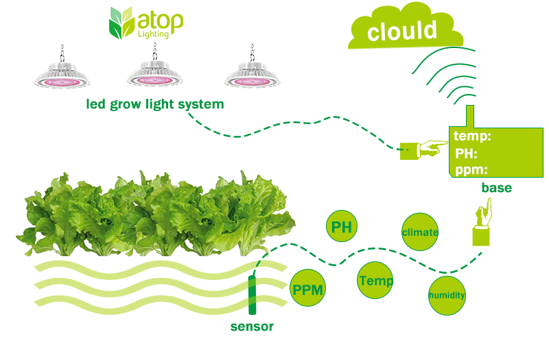 led grow light system in IOT horticulture in smart greenhouse