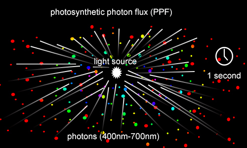 photosynthetic photon flux PPF