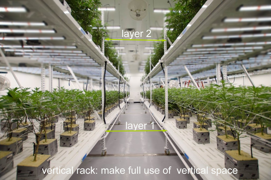 vertical rack cannabis growing
