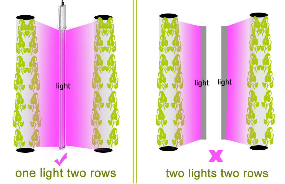 grow light source is distributed on both sides