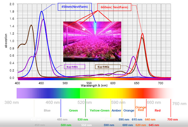 light spectrum and plant growth