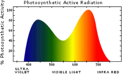 LED grow light spectrum for plants