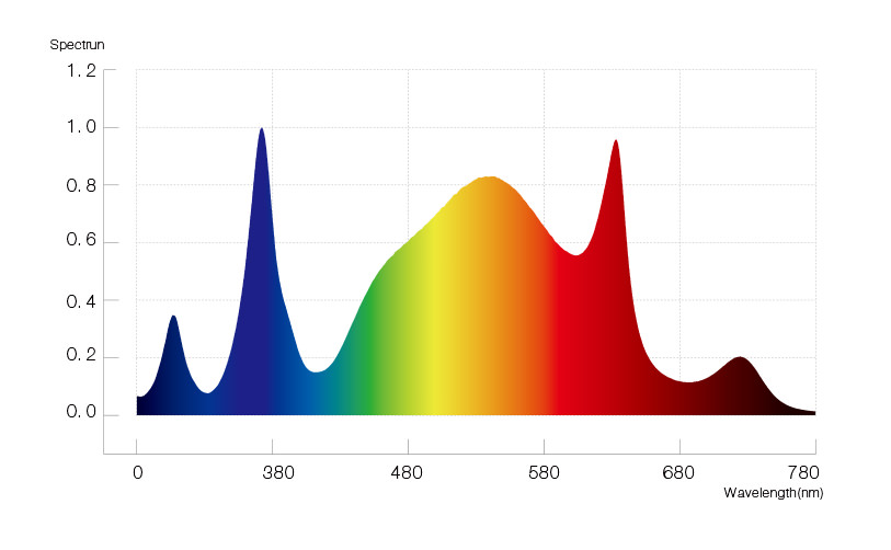 HL13-P100-00 spectrum
