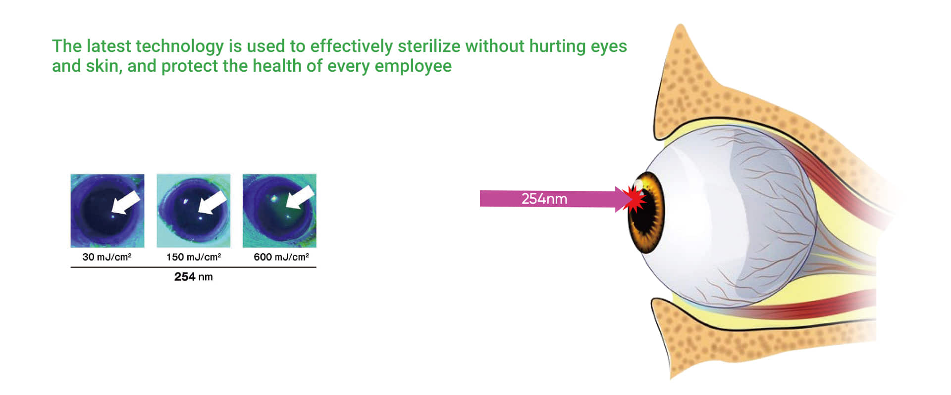 222nm technology is used to effectively sterilize without hurting eyes and skin