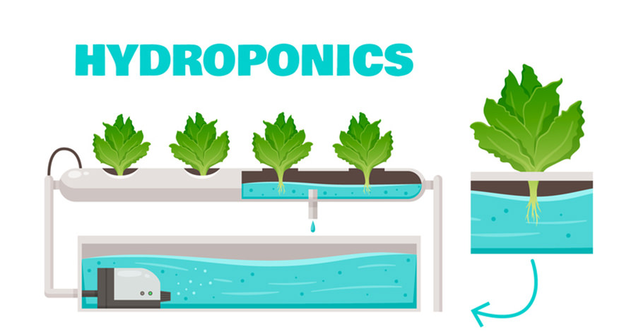 Hydroponics