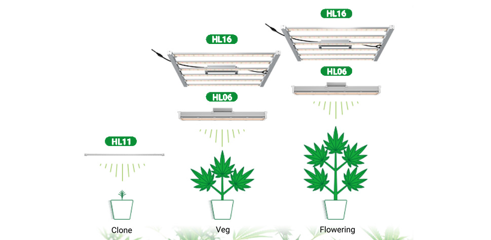 led grow light for cannabis