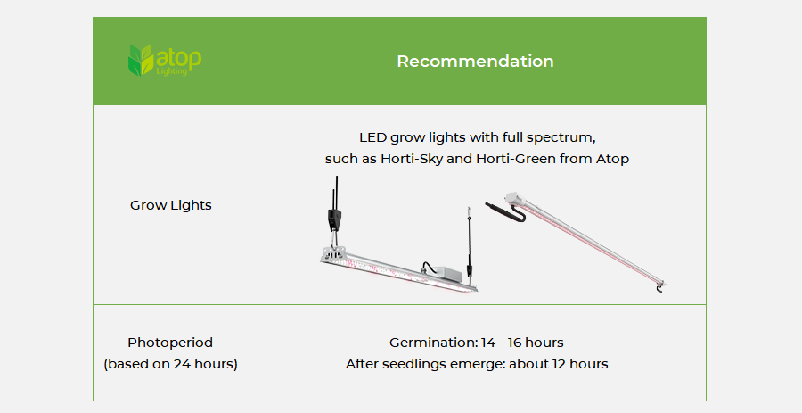 lighting recommendations for indoor lettuce2